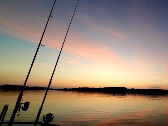 Ulvøya