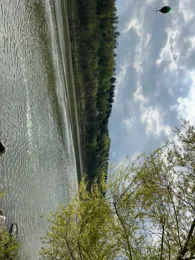 Donau (Besensandbach - Gaishofen)-4