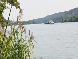 Donau (Besensandbach - Gaishofen)