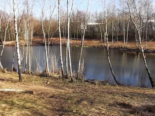 Hägersee (Norderstedt)-1