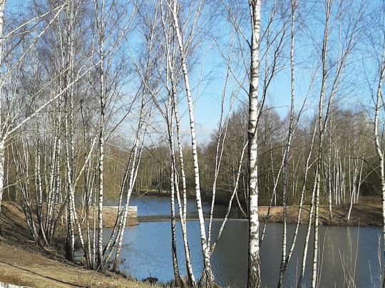 Hägersee (Norderstedt)-3