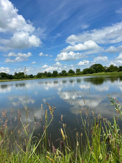 Angelpark Teichhof (Pahlen)-2