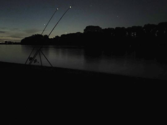 Rhein (Mannheim-Sandhofen)-2