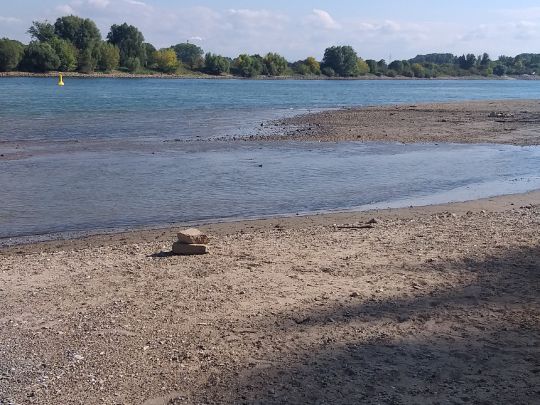 Rhein (Mannheim-Sandhofen)-3