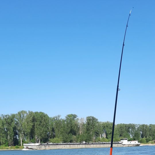 Rhein (Mannheim-Sandhofen)-4