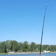 Rhein (Mannheim-Sandhofen)-4