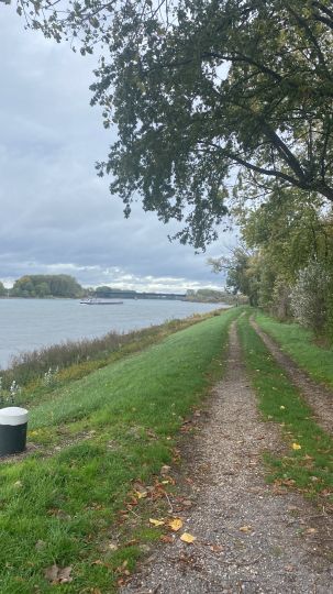 Rhein (Mannheim-Sandhofen)-1