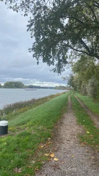 Rhein (Mannheim-Sandhofen)-1