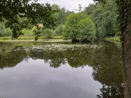 Teichanlage Königssee (Tecklenburg)-4