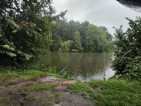 Buschmannsee mit Insel-4