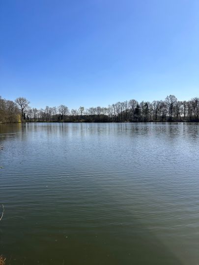 Buschmannsee mit Insel-3