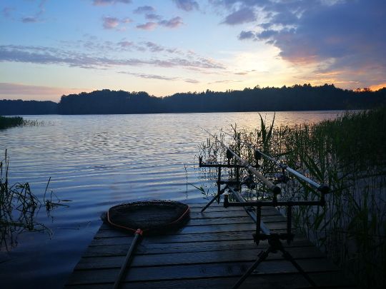 Dümmersee (Ludwigslust) angeln