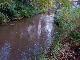 Altenbrucher Kanal (Altenbruch)-4