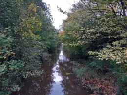 Altenbrucher Kanal (Altenbruch)-1