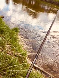 Weiße Elster (Gera)-3