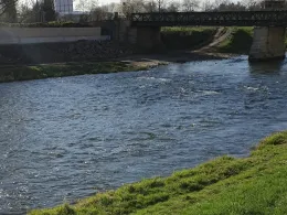 Weiße Elster (Gera)-2