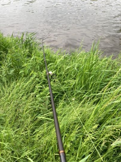 Weiße Elster (Gera)-1