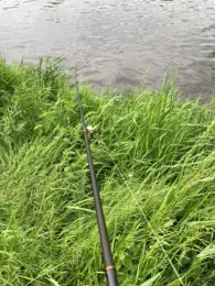 Weiße Elster (Gera)-1