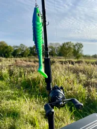 Dornumersieler Tief (Dornum)-4