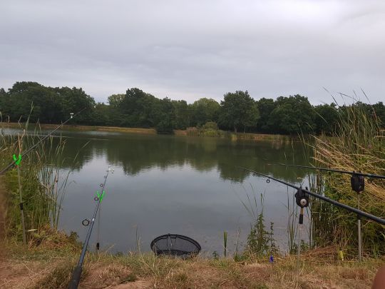 Neuer Bagger (Zwenkau)-2