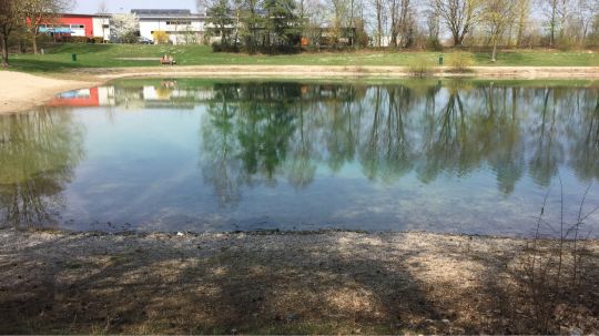 Galgenbachweiher-1