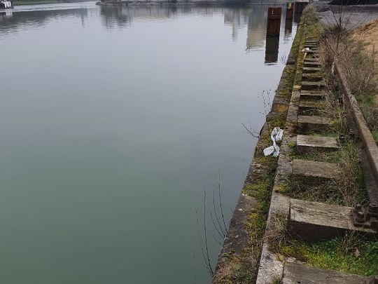 Wesel-Datteln-Kanal (Marl)-3