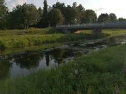 Schwarze Elster (Ruhland)