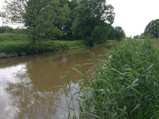 Schwarze Elster (Ruhland)-2