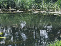 Schwarze Elster (Ruhland)-3