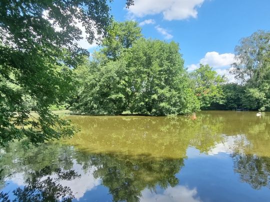 Wiesenteich (Thammenhain)-1