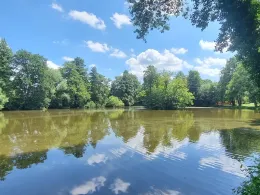 Wiesenteich (Thammenhain)