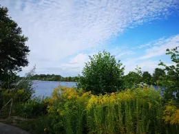 Niederneuendorfer See-3