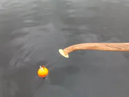 Niederneuendorfer See-2