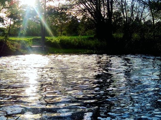 Mühlenteich (Rüting) angeln