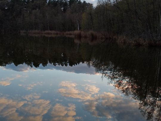 Triftsee (Gr. Wasserburg)-2
