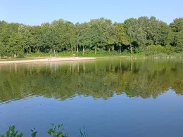 Sander See-3