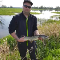 Oder (Küstrin-Kietz)