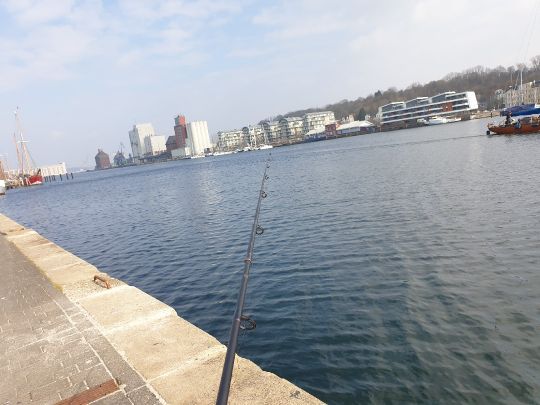 Flensburger Hafen angeln