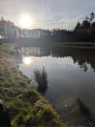 Schmiedweiher (AV Schönkirch)-1