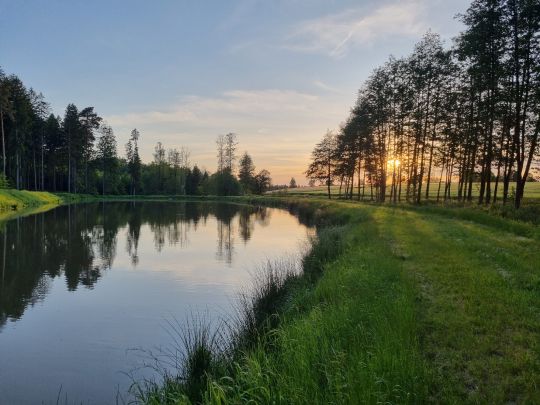 Schmiedweiher (AV Schönkirch)