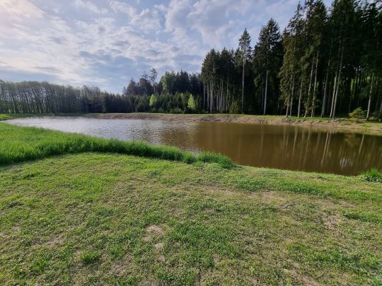 Schmiedweiher (AV Schönkirch)-3