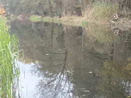 Torfstich Rüllhausen 2