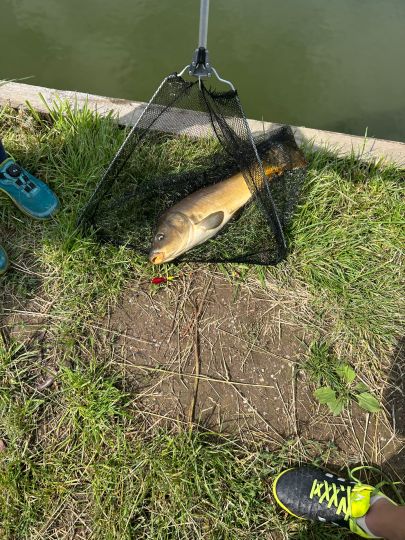 Schmerzer Teich (Muldestausee)-4