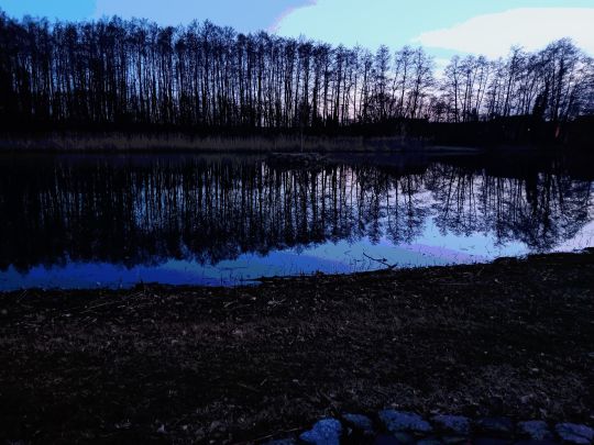 Schmerzer Teich (Muldestausee)