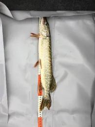 Römersee (Mantinghausen)