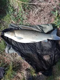 Großer Mönussee (Stettfeld)-1