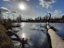 Alte Spree (Köpenick)-1