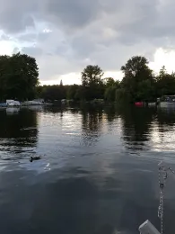 Alte Spree (Köpenick)-4