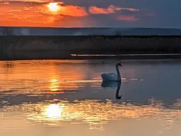 Karpfenteich (Geratal Kies)