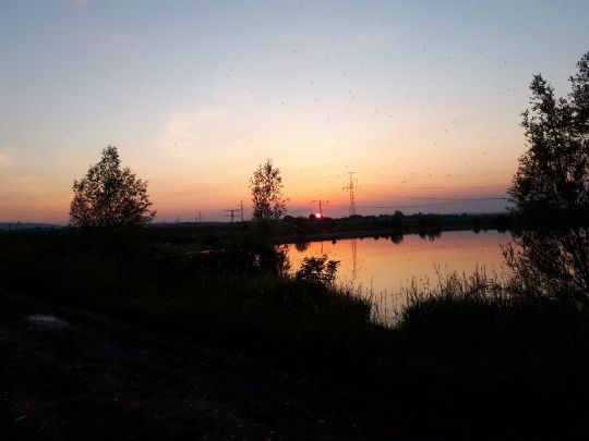 Karpfenteich (Geratal Kies) angeln